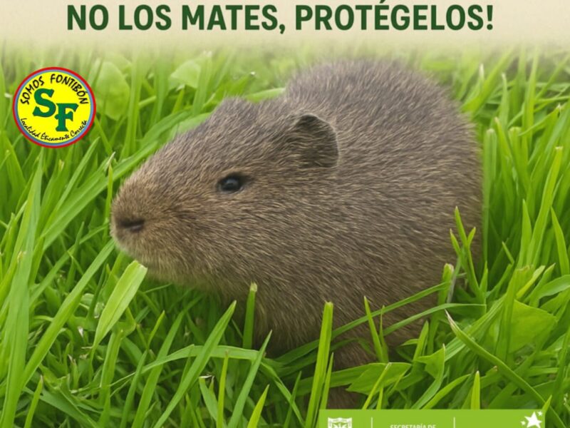 Curí en los humedales de Fontibón – Somos Fontibón
